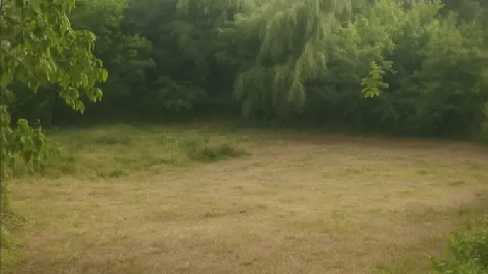 Prodám sluneční pozemek s chaloupkou